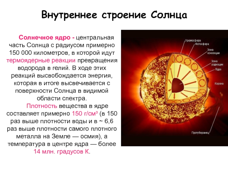 В ядре осуществляется. Строение солнца солнечное ядро. Строение солнца внутреннее и внешнее. Внутренне строение солнца солнечное ядро. Центральная часть солнца.