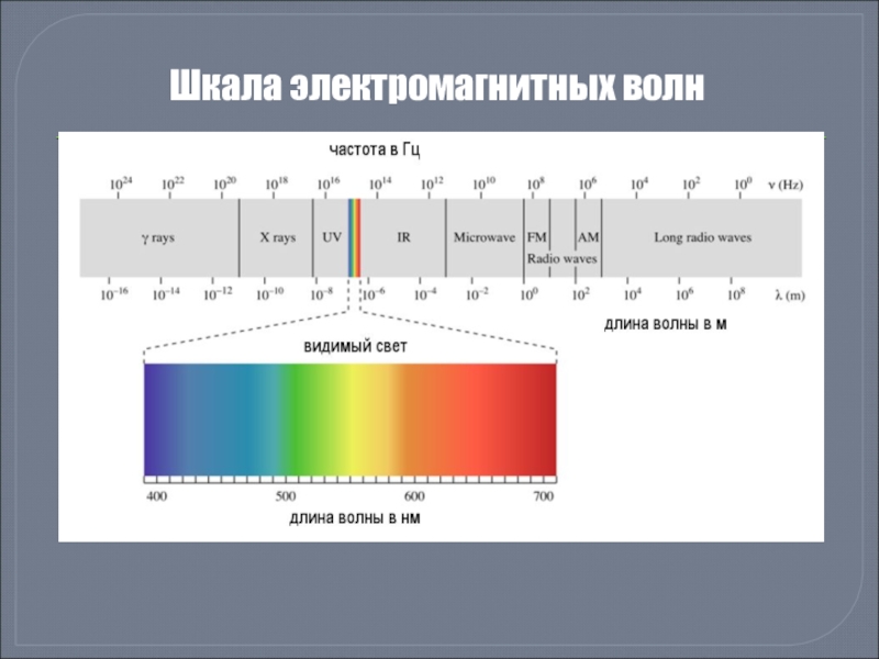Шкала электромагнитных волн рисунок