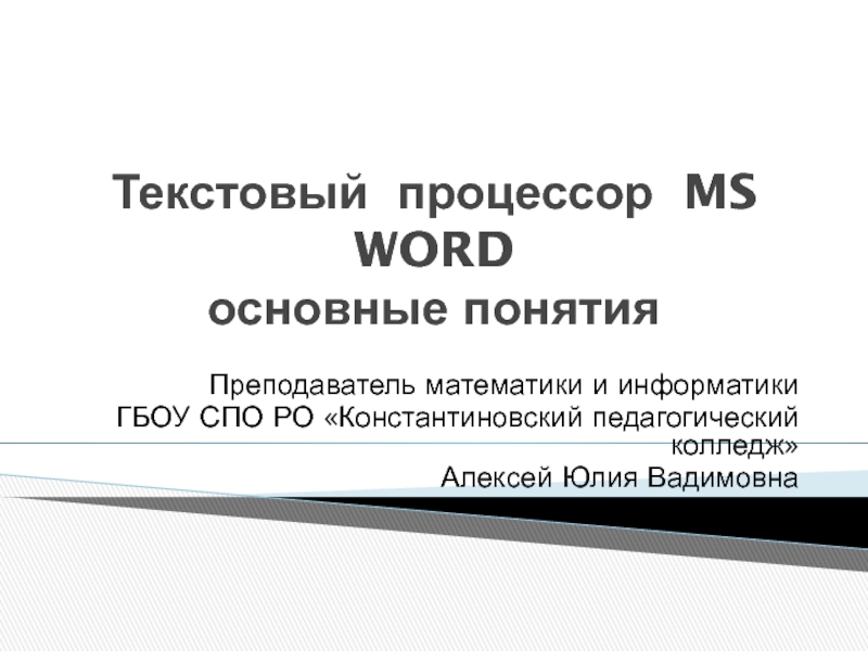 Презентация Текстовый процессор MS WORD основные понятия