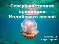 Северо-восточная провинция Индийского океана