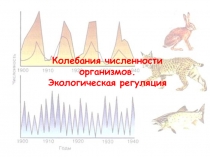 Колебания численности организмов - Экологическая регуляция