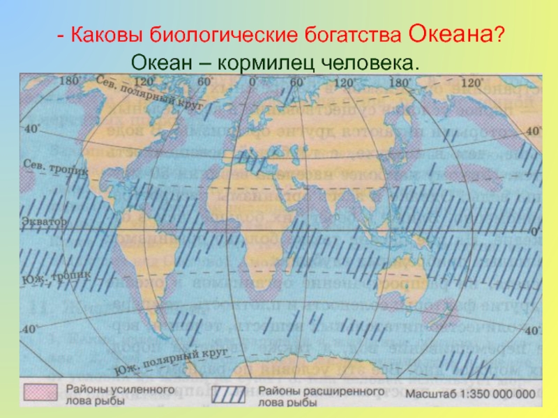 Биологические ресурсы океанов. Биологические богатства океана. Биологические богатства океана 7 класс. Биологические ресурсы океана карта. Биологические ресурсы океанов на карте.