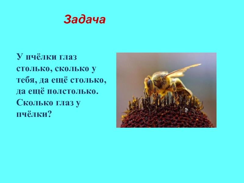 Миша нарисовал 4 картинки а саша столько полстолько