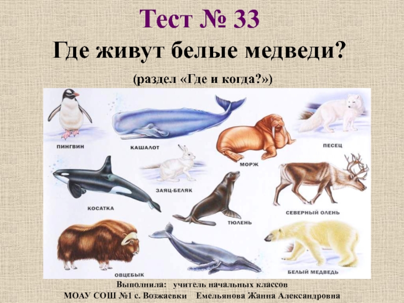 Где живут белые медведи 1 класс школа россии презентация