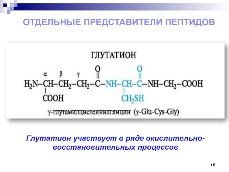 Пептиды презентация 10 класс углубленный уровень