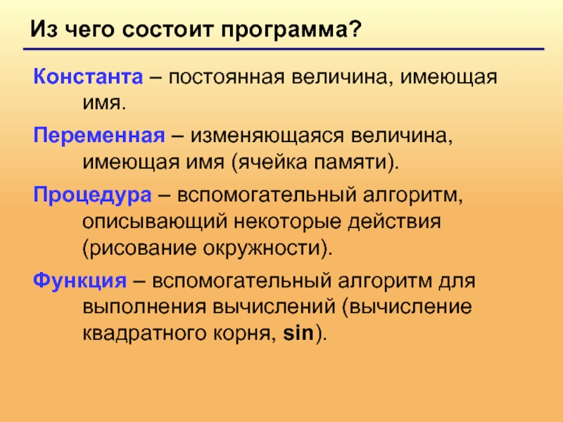 Из чего состоит программа. Константа постоянная величина. Из чего состоят программы утилиты. Из чего состоит приложение.