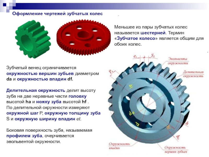 Делительная окружность зубчатого