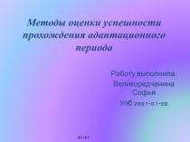 Методы оценки успешности прохождения адаптационного периода