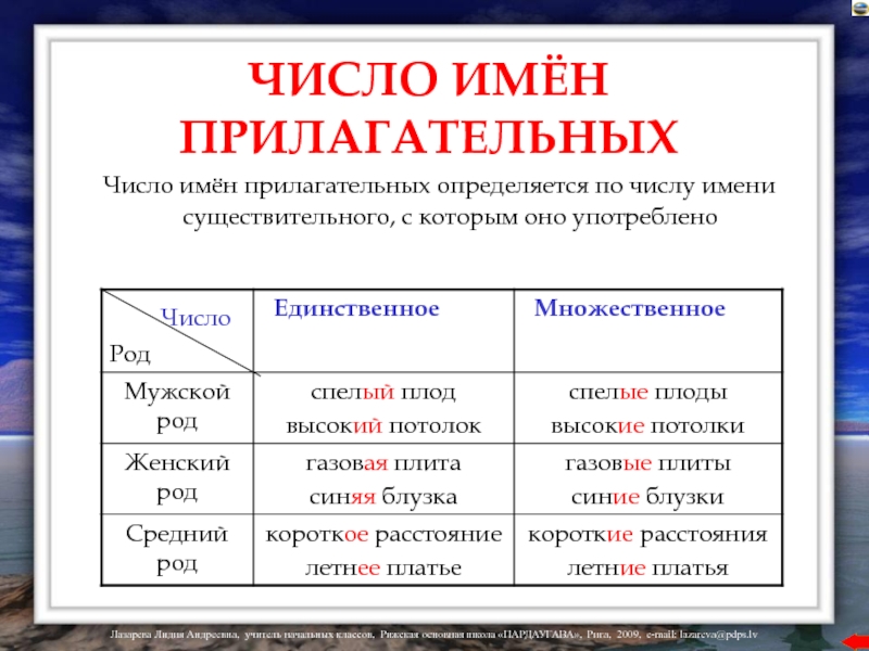 Презентация изменение имен прилагательных по числам 3 класс школа россии