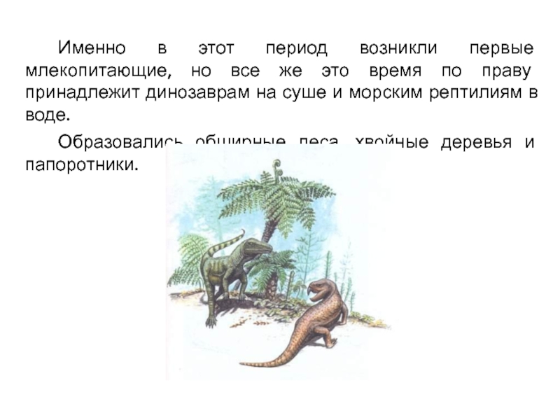 В какой период появились млекопитающие. В какую эру появились первые млекопитающие. Млекопитающие период возникли. Когда появились млекопитающие на земле. Первые млекопитающие появились на земле в эру.