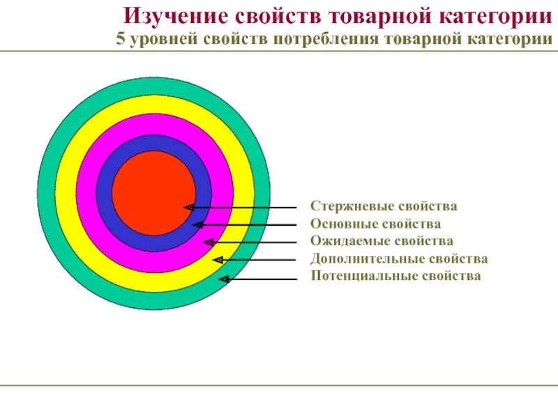 Характеристика изучаемого