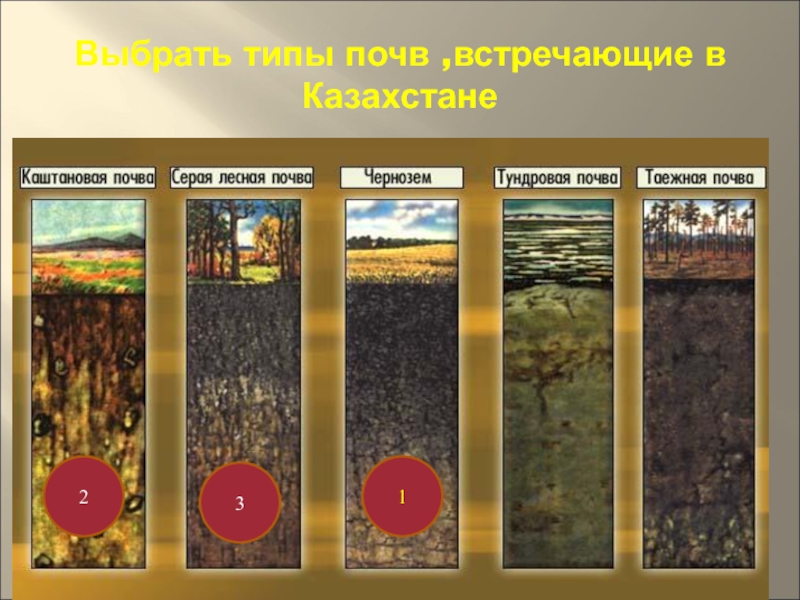 Виды почв. Типы почв в Казахстане. Таблица почвы Казахстана. Основные типы почв РК. Строение почвы Казахстана.