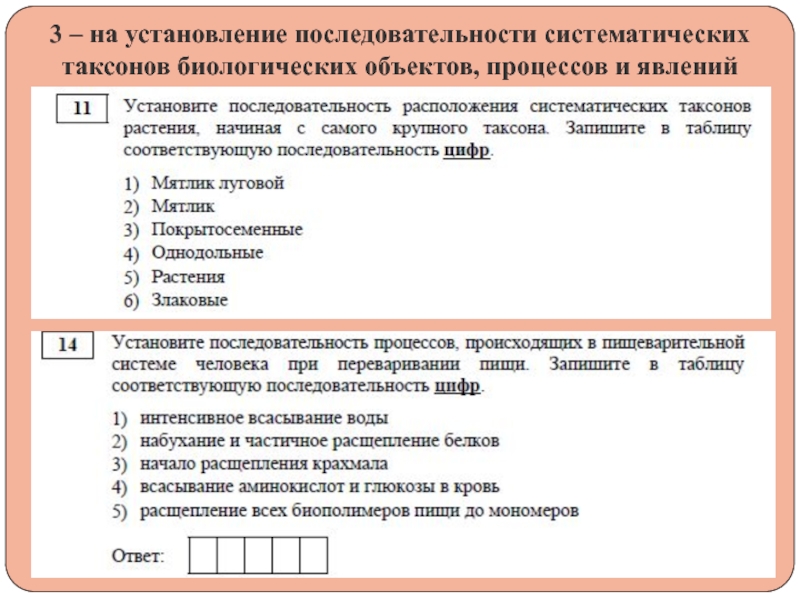 Порядок систематических таксонов. Таблица систематических таксонов. Последовательность стиматиеских тактов. Последовательность систематических таксонов. Последовательность систематичских такс.