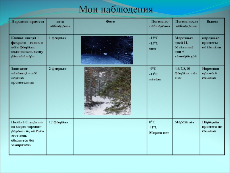 Проект по географии 9 класс прогноз погоды по приметам