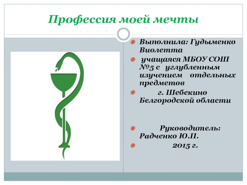 Презентация Проект 