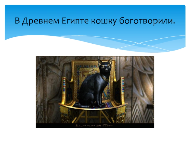 В Древнем Египте кошку боготворили.