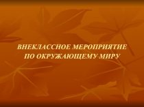 Внеклассное мероприятие по окружающему миру