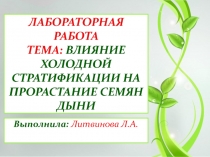 Лабораторная работа 