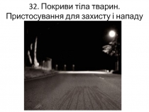 32. Покриви т іла тварин. Пристосування для захисту і нападу