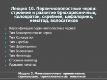 Первичнополостные-круглые черви