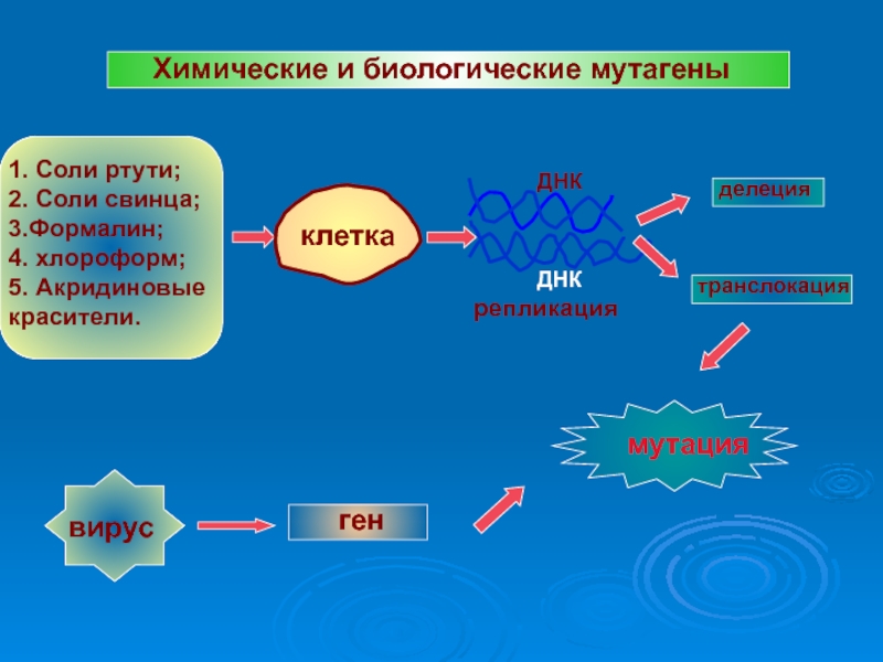 Соли свинца. Акридиновые красители. Химические мутагены в квартире. Соли ртути 2. Акридиновые красители примеры.