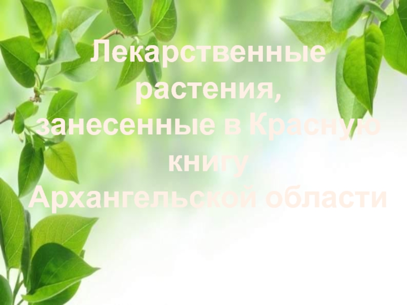 Презентация Лекарственные растения, занесенные в Красную книгу Архангельской области