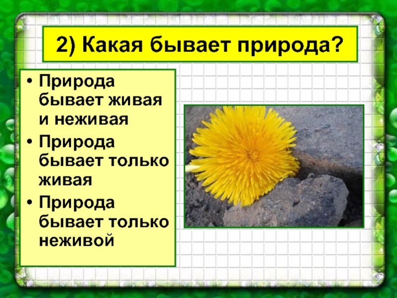 Какая бывает природа. Какая бывает природа 2 класс. Природа бывает Живая. Какая бывает природа 3 класс.