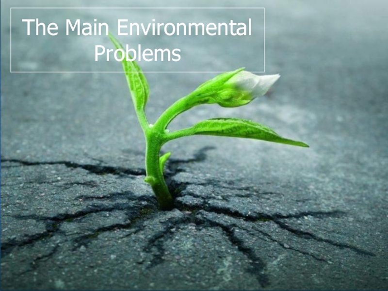 The Main Environmental Problems 7 класс