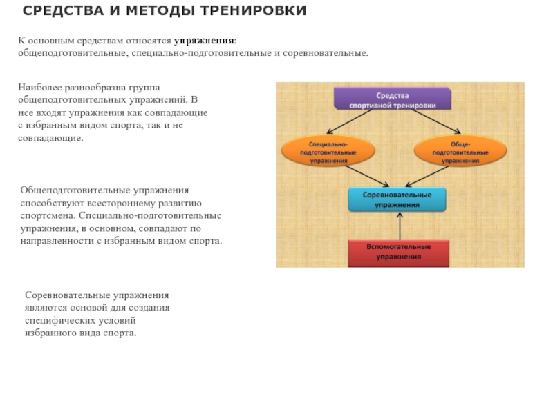 К основным средствам обучения тренировки относятся упражнения