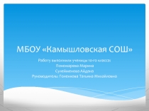 МБОУ Камышловская СОШ