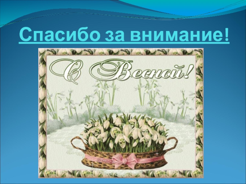 Презентация день цветов. Добрый день для презентации. Добрый день слайд. Картинка спасибо за внимание.