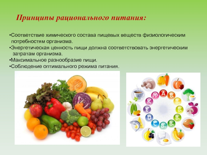 Химическое изменение пищи. Аспекты рационального питания. Принципы здорового питания. Питательные вещества рационального питания. Состав рационального питания.