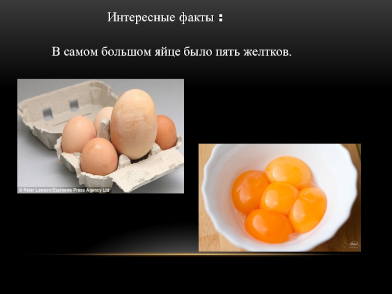 Самое сильное яйцо. Факты о яйцах куриных. Интересные факты о яйцах. Интересное о курином яйце. Факты о яичнице.