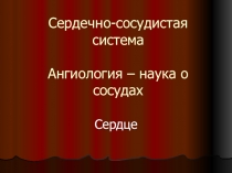 Сердечно-сосудистая система