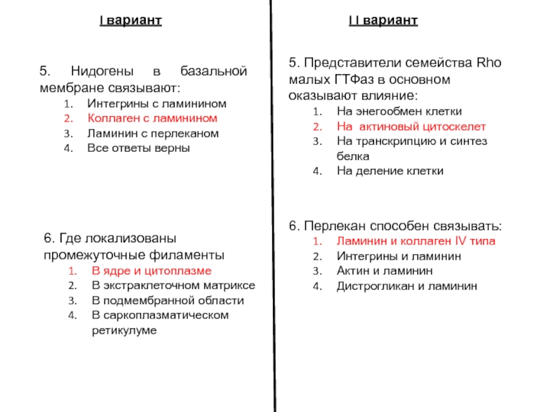 Тест по коже человека