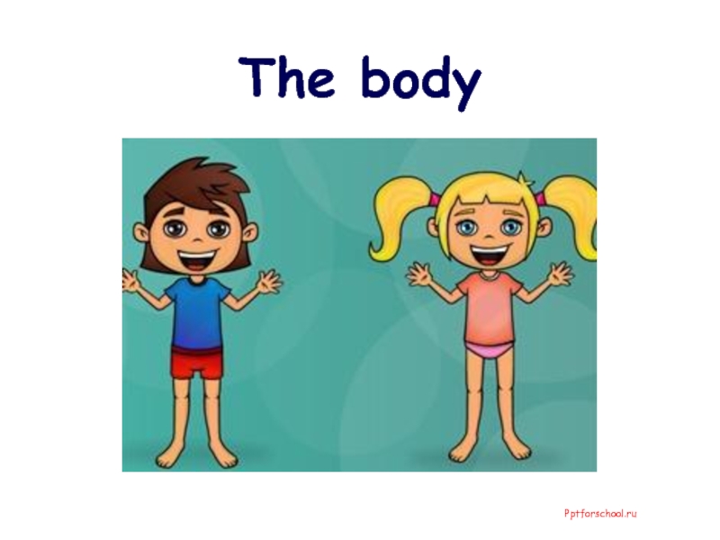 Презентация Части тела (Parts of the body)