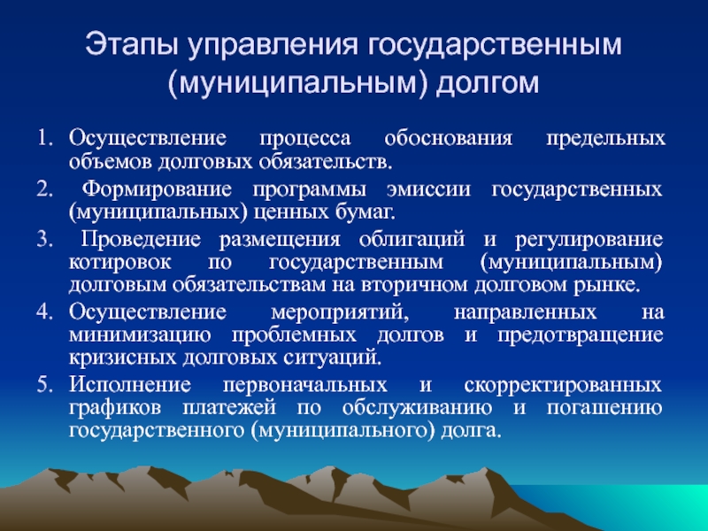 Система управления государственным долгом схема