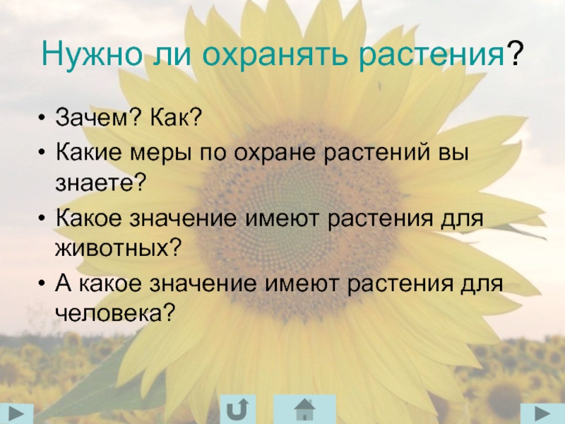 Значение и охрана растений презентация