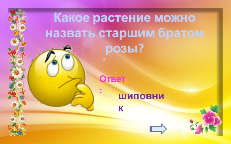 Как зовут старшего. Какого цвета очки носят люди, слишком позитивно воспринимающие мир?. Мед ответ.