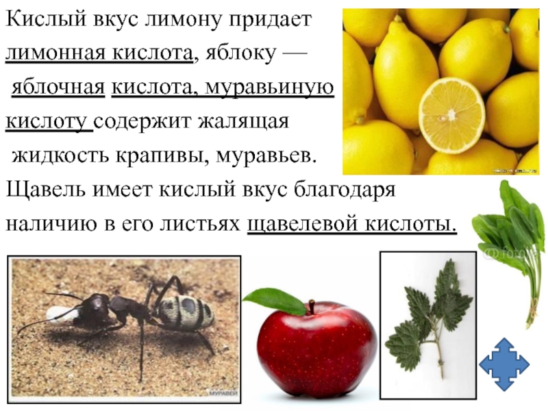 Кислоты содержатся в фруктах. Муравьиная, лимонная кислота. Вещества имеющие кислый вкус. Какая кислота содержится в лимоне. Кислота яблочная.