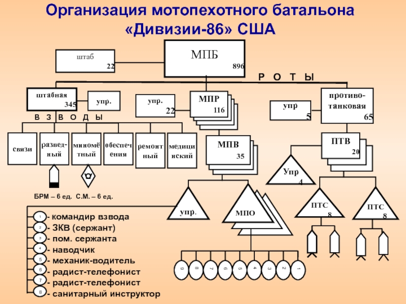 3 3 3 организация. Организационно штатная структура МПБ армии США. Организация мотопехотного батальона США. Организационно штатная структура МПБ США. Организация мотопехотного батальона (МПБ) США.