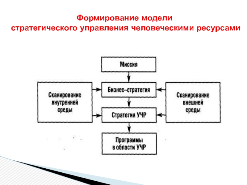 Управление человеческими ресурсами презентация