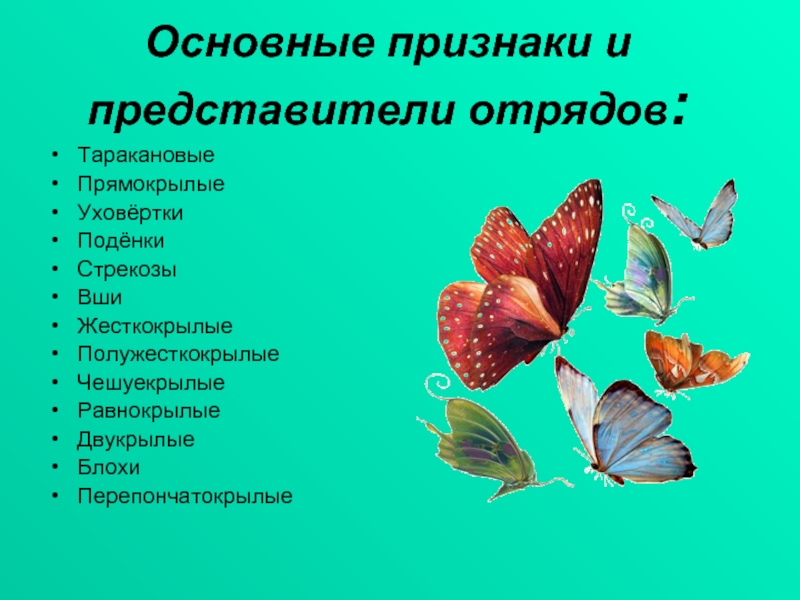 Представители отряда. Отряды насекомых поденки представители. Уховёртки представители отряда таблица. Насекомые отряд Таракановые 7 класс. Отряды насекомых таблица поденки.