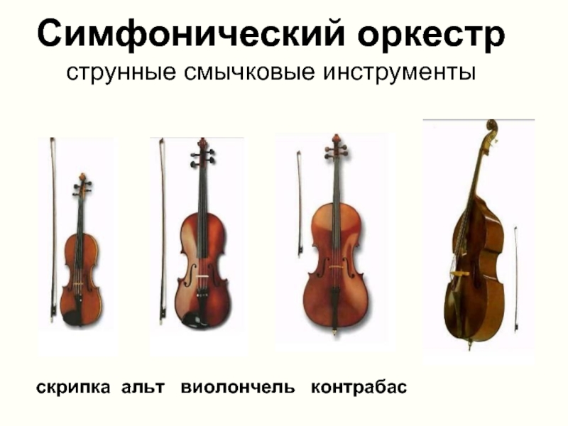 Симфонический оркестр струнные смычковые инструменты скрипка альт  виолончель  контрабас