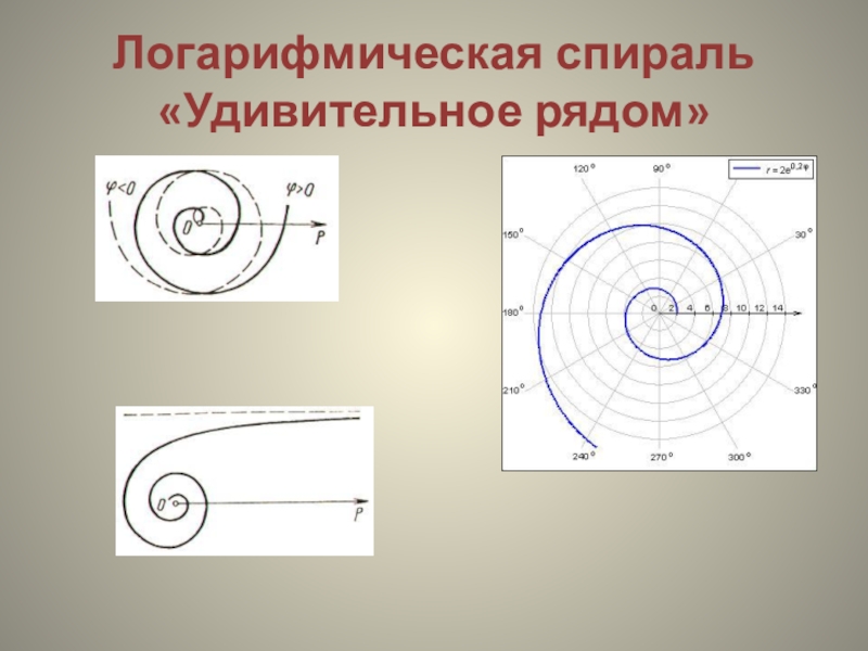 Логарифмическая спираль проект