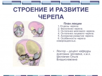 СТРОЕНИЕ И РАЗВИТИЕ ЧЕРЕПА