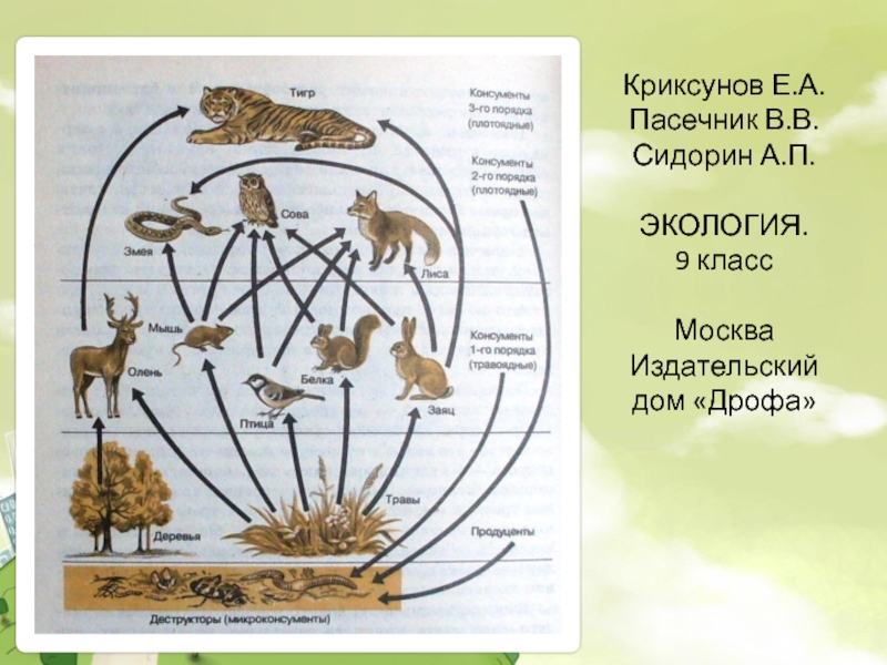 Экология 9 класс. Экология 9 класс Пасечник. Криксунов Пасечник экология 9 класс. Микроконсументы примеры.