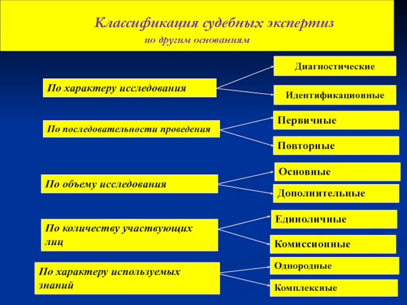Классификация судебных экспертиз реферат клининг торговых центров в москве