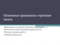 Основные принципы строения мозга О'Коннор