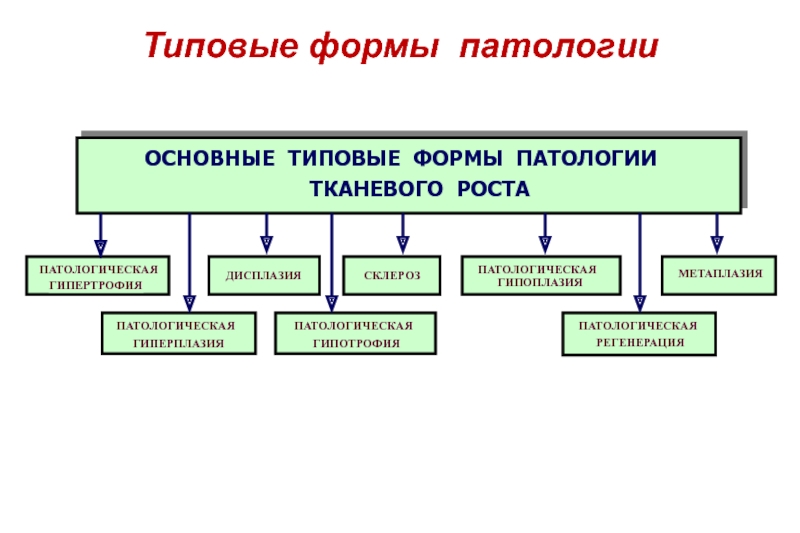 Опухоли презентация патология